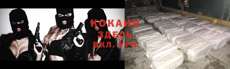 купить  сайты  Ветлуга  мега как войти  COCAIN 98% 