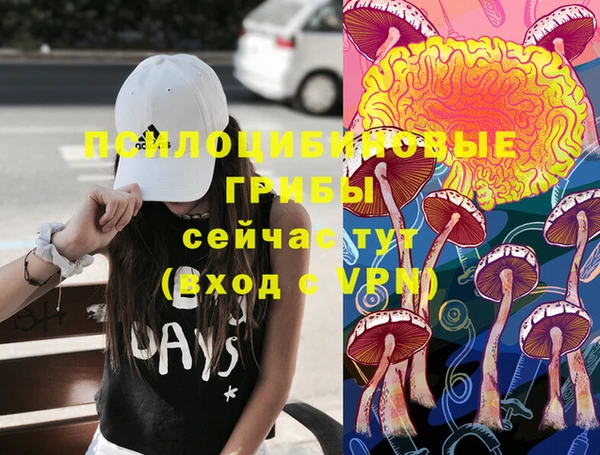 хмурый Нязепетровск