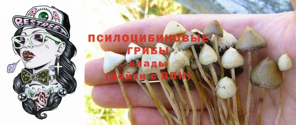 хмурый Нязепетровск