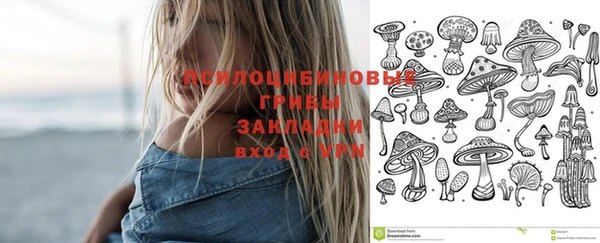 MESCALINE Няндома