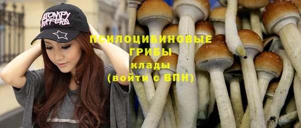 стафф Нягань