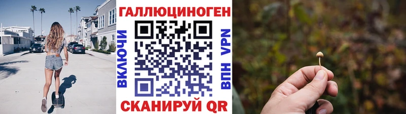 Галлюциногенные грибы MAGIC MUSHROOMS  хочу наркоту  Ветлуга 