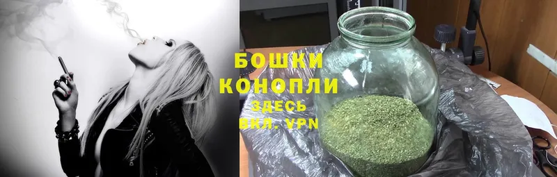 как найти наркотики  Ветлуга  Марихуана Ganja 